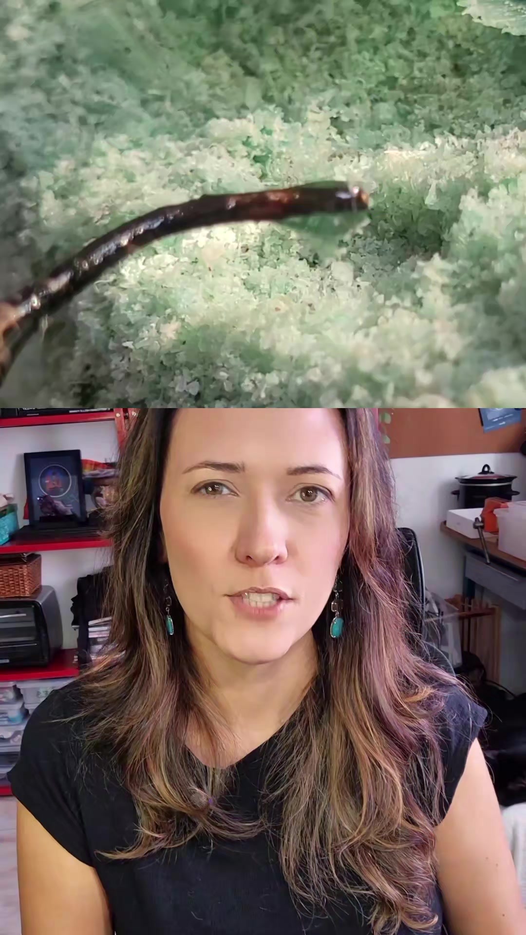 @Priscilla Vass&atilde;o Jewelry