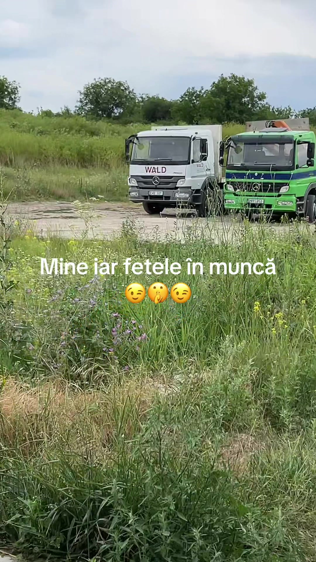 @valic .valic
