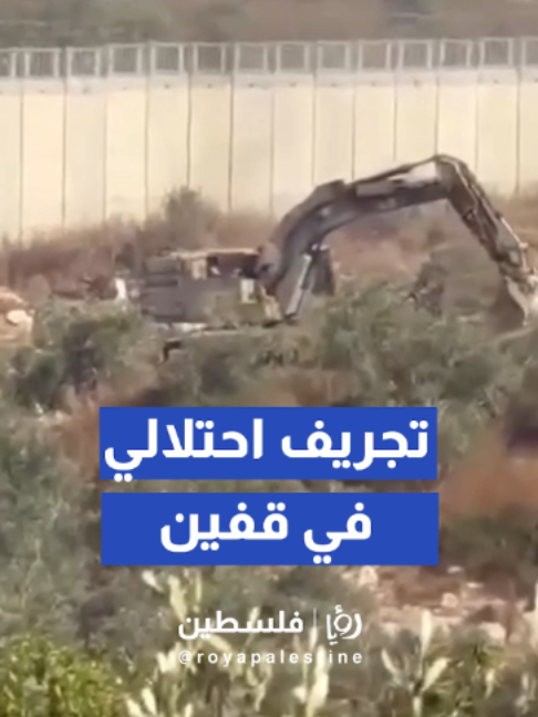 @Royapalestine رؤيا فلسطين