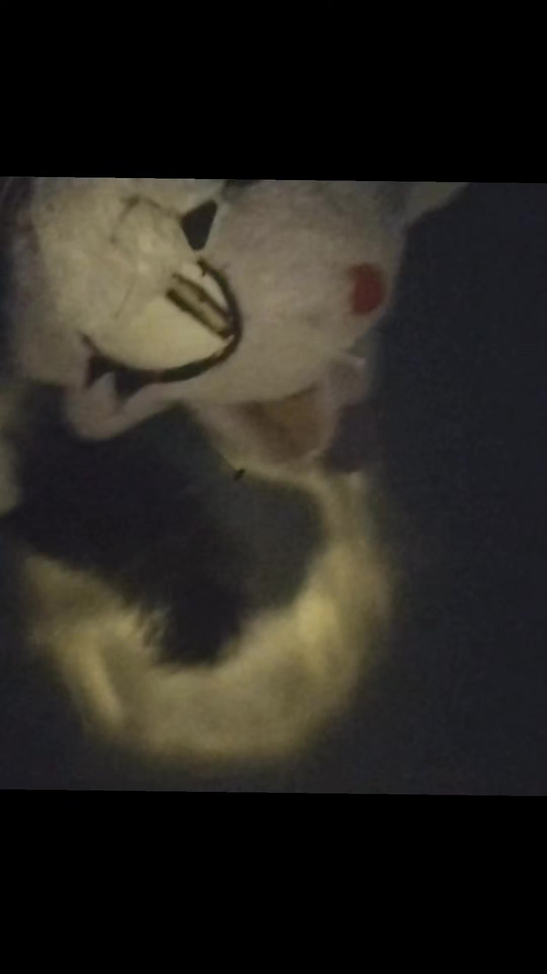 @Oneiros the cat