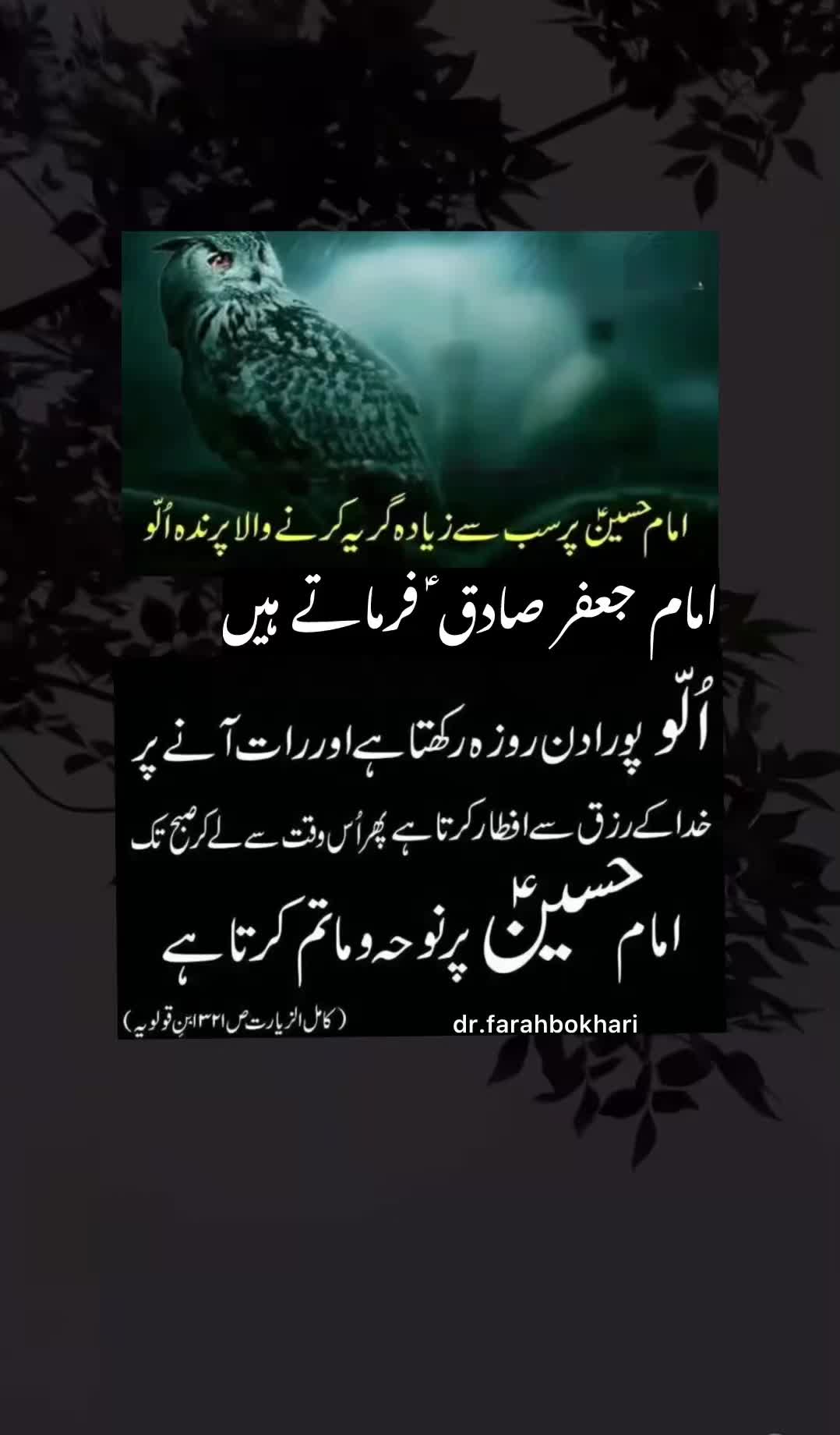 @dr.farahbokhari
