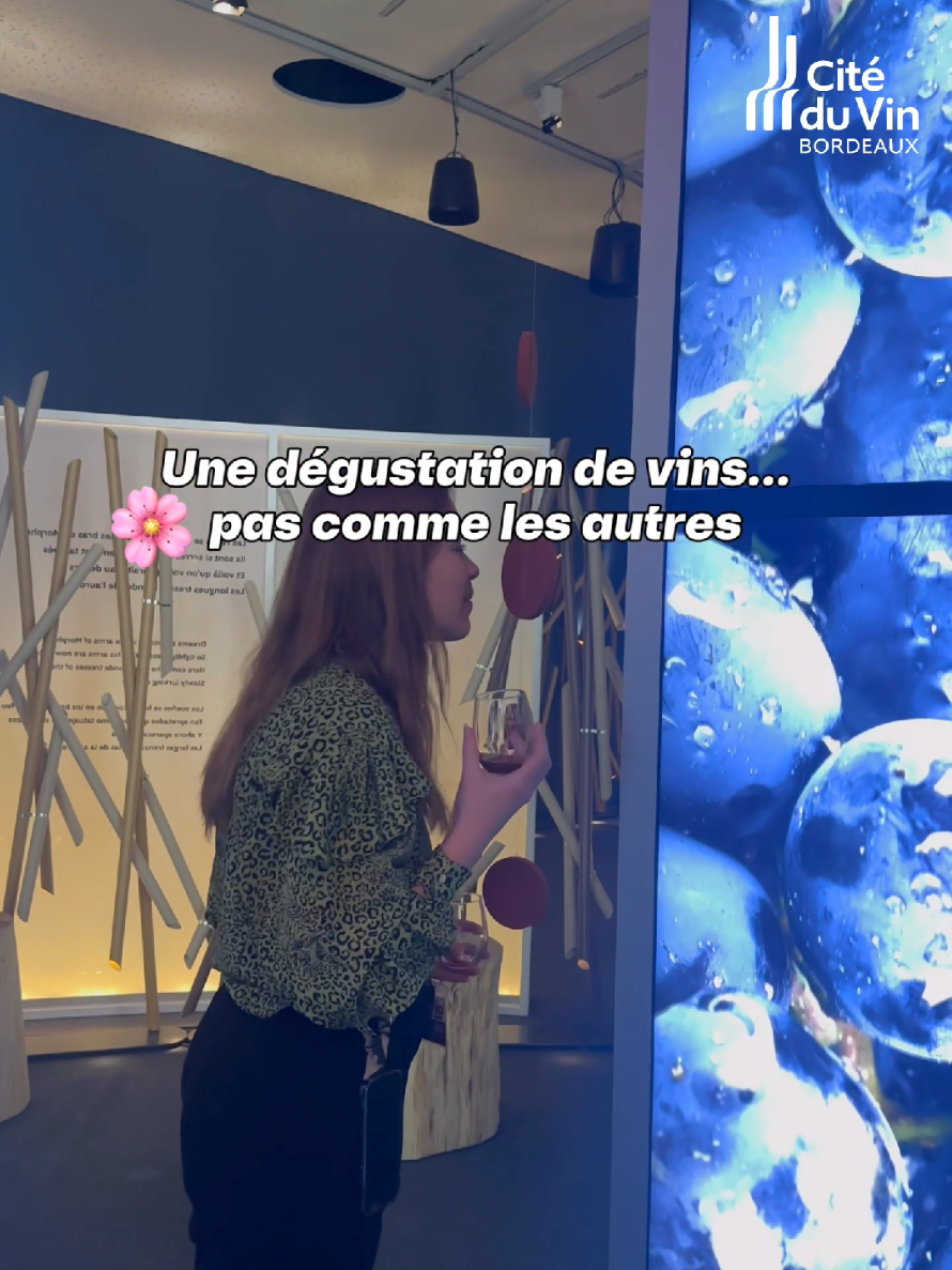 @La Cit&eacute; du Vin