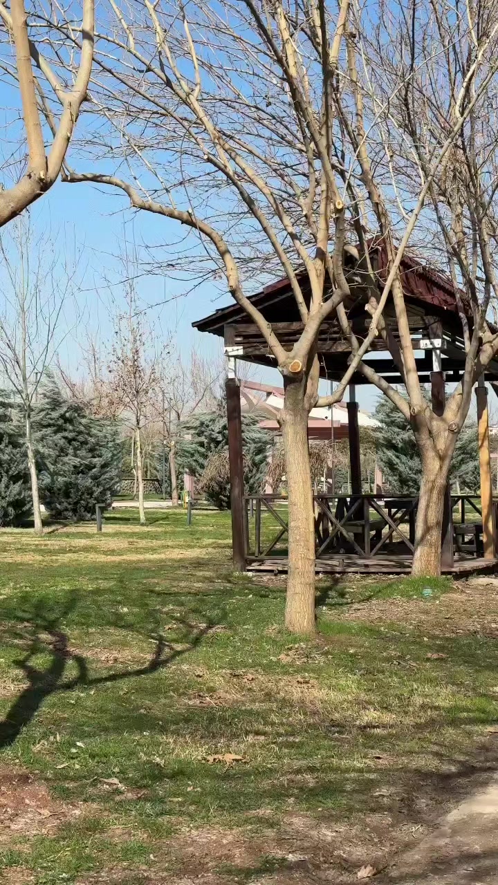 @HALİL KARAKEÇİLİ.263