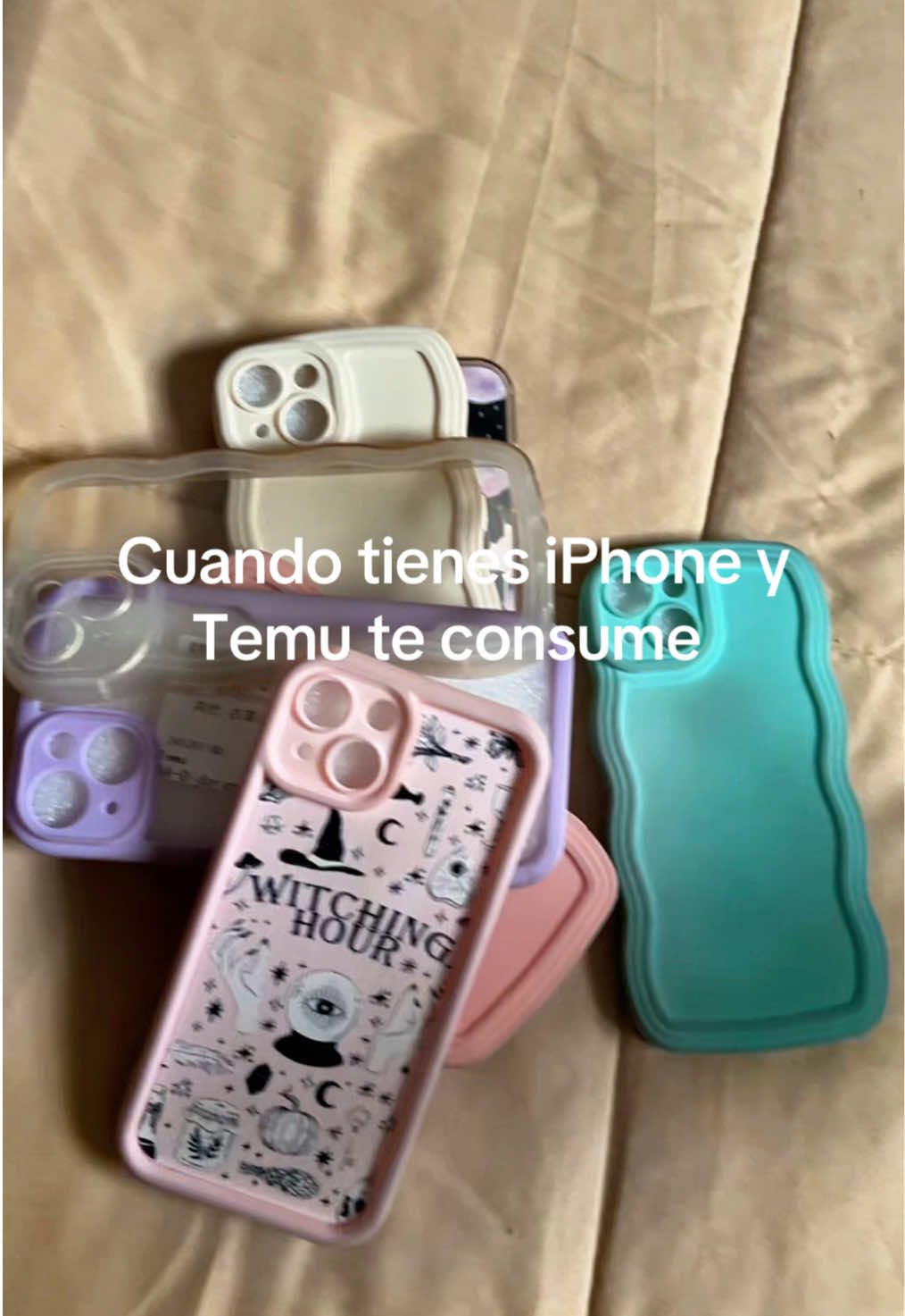 @CAT 👑