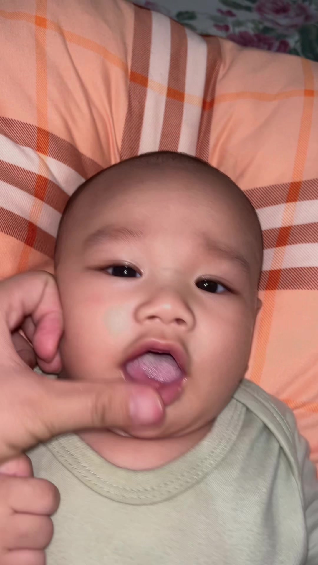 @𝚆𝙸𝙻𝙼𝙰 𝙲 ❀