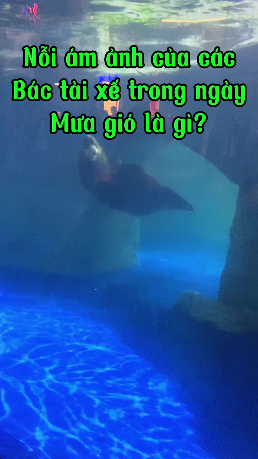 @Phụ kiện &ocirc; t&ocirc; Ho&agrave;ng B&aacute;ch