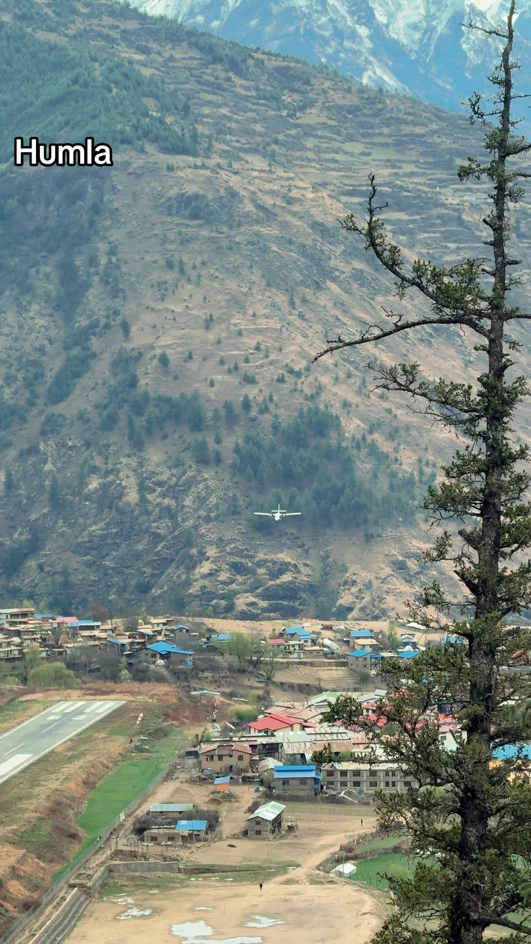 @हुम्ली&ensp;कान्छो