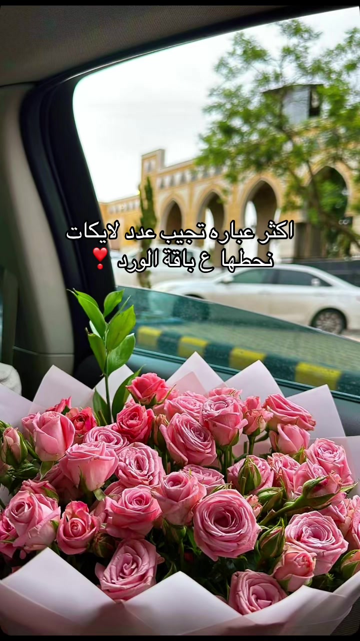 @هدايا خميس مشيط