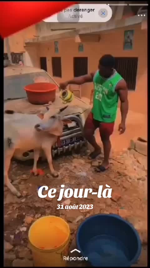 @Cheikh.Ndiaye.Officiel