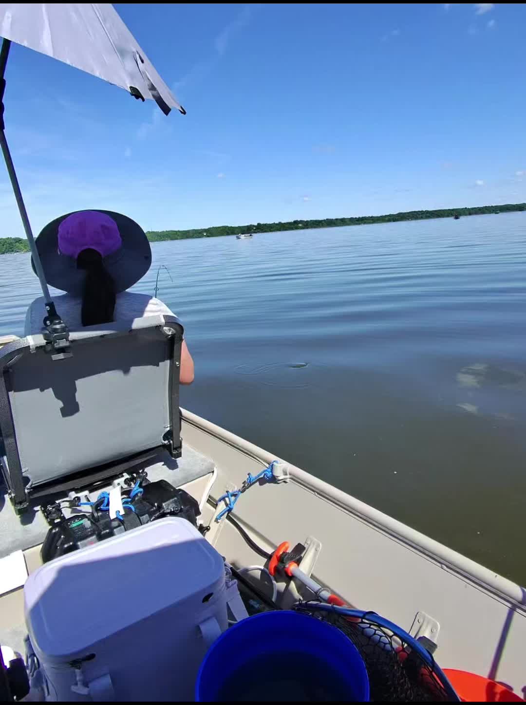 @Dave&rsquo;s Lazy Baits