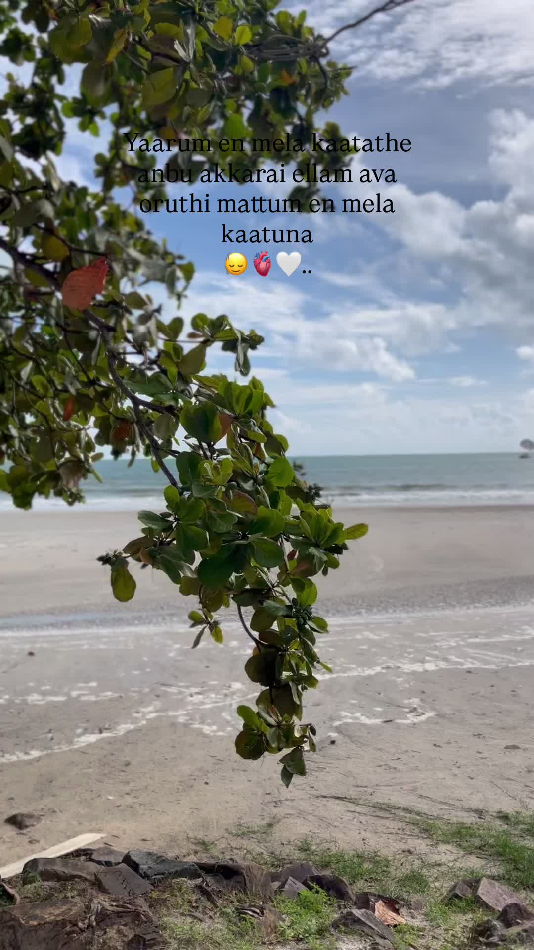 @Raj🤍..