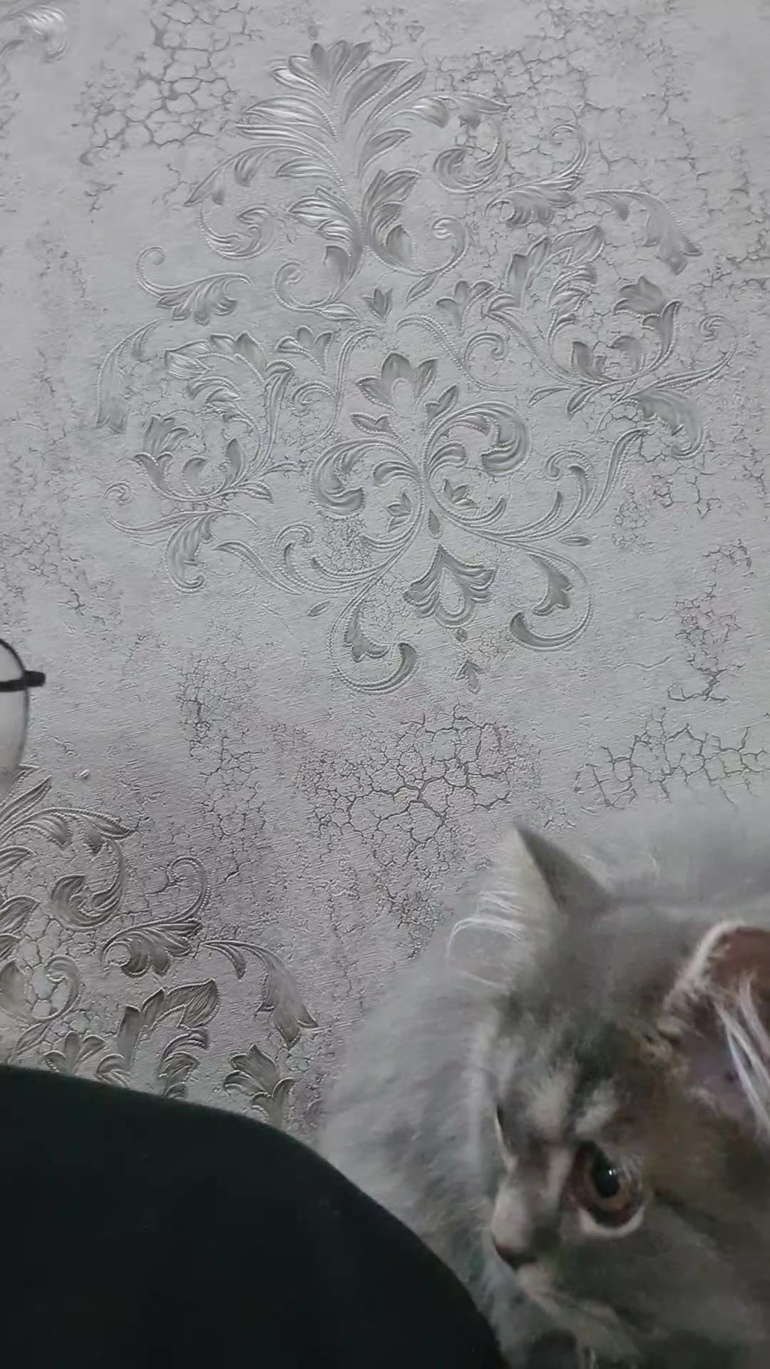 @🤫🤫🤫