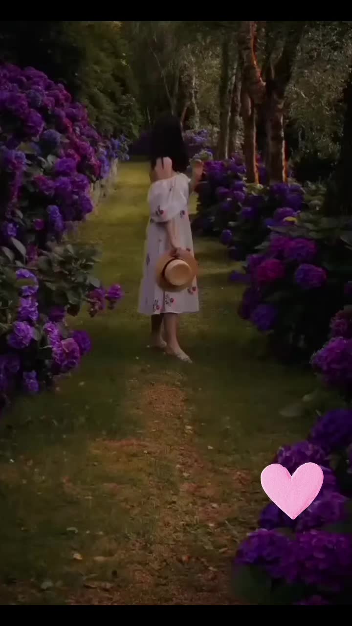 @🕊𓍯 𝒟𝒶𝒻𝒶 𝒜𝓁ℛℴ𝓊𝒽 𓍯 🤍
