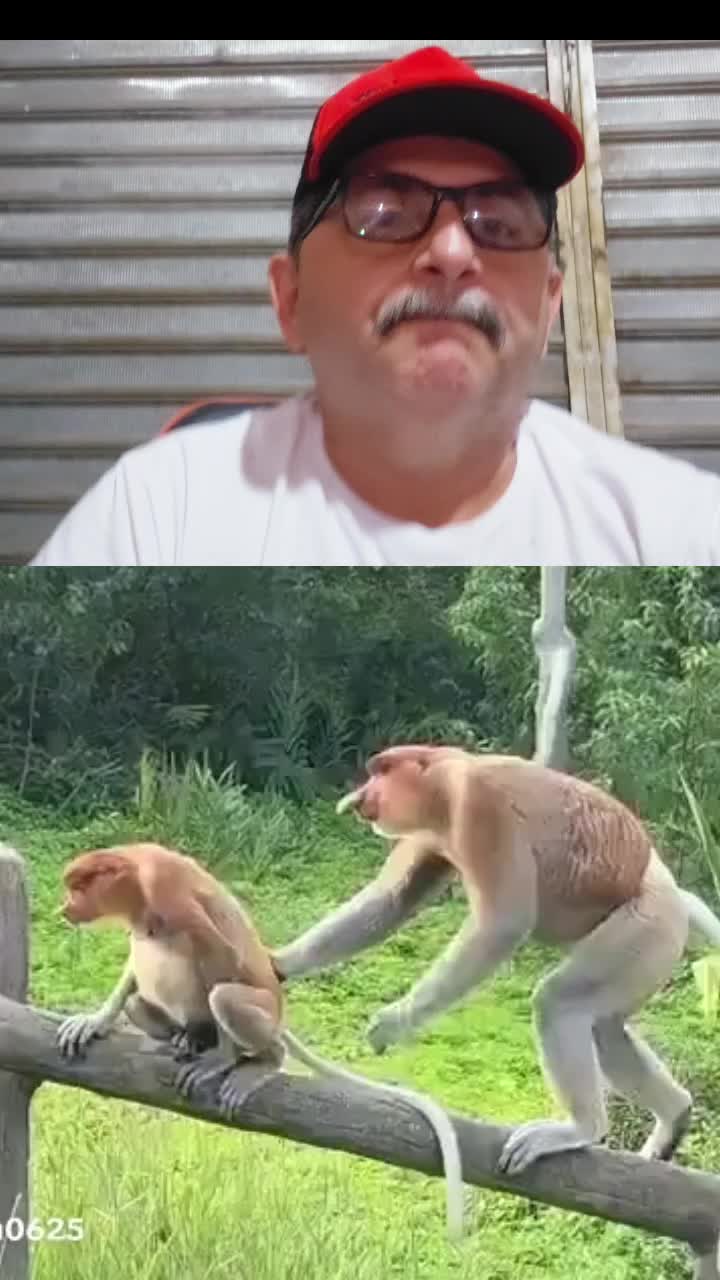 @canal do dia a dia da família