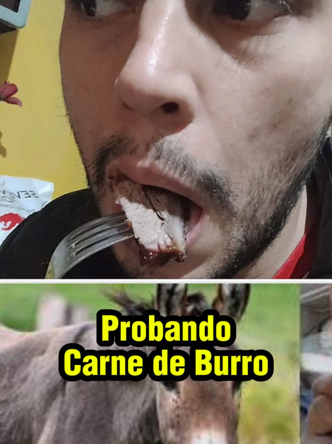 @Hector Fernandez🧉🐰🫶🐈⬛
