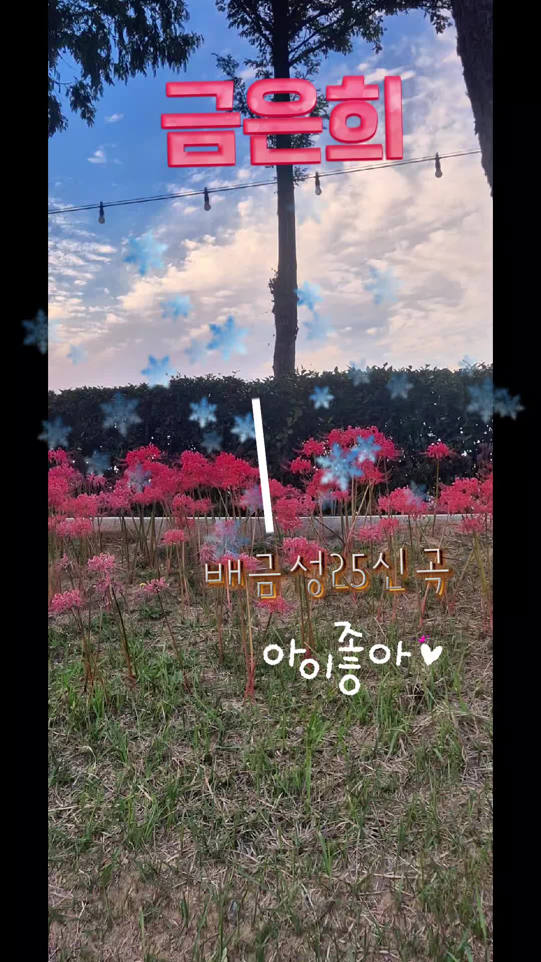 @금은희