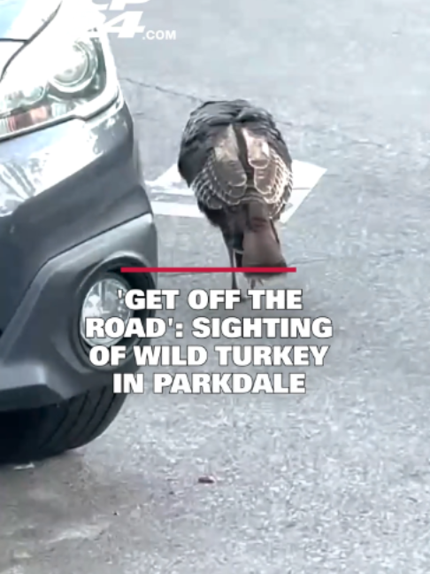@cp24