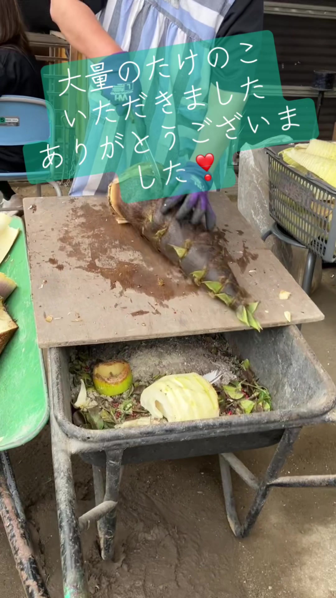 @ちゅうたん