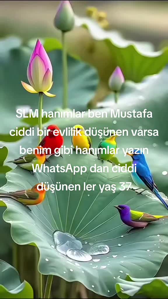@Mustafa