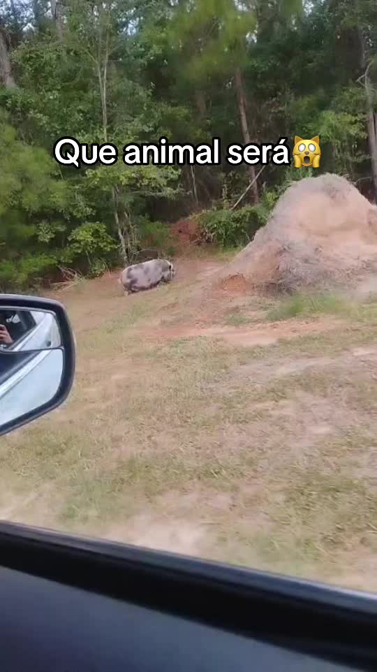 @Yanesita 504🇭🇳💪
