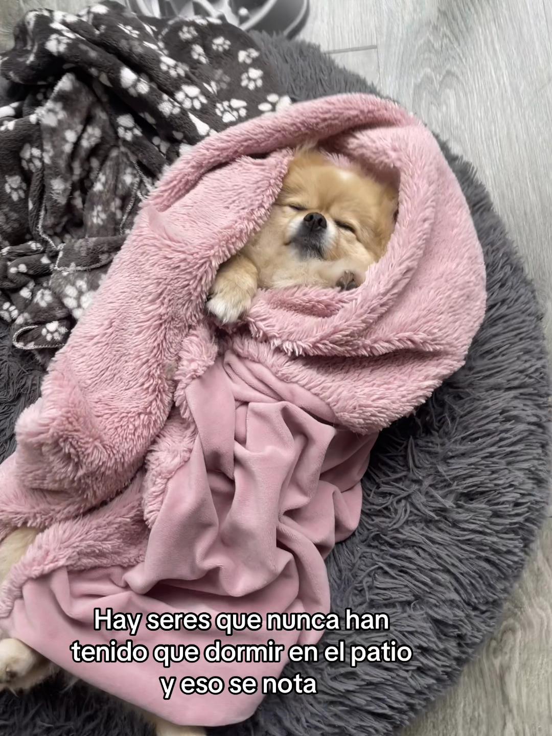 @Mileena