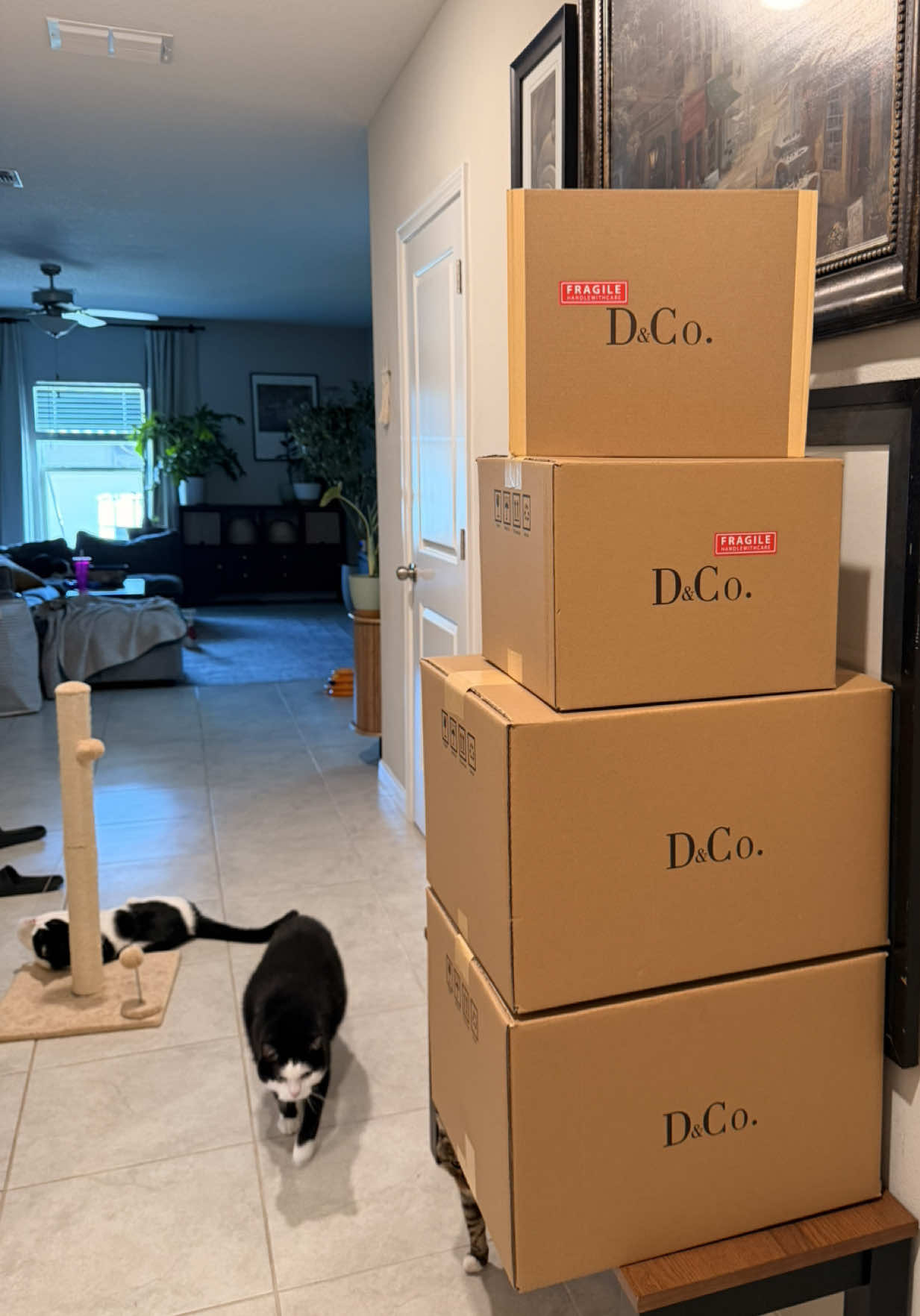 @dalisayandco