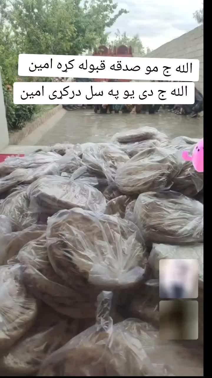 @majahidniazai