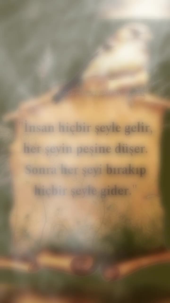 @acı hayat