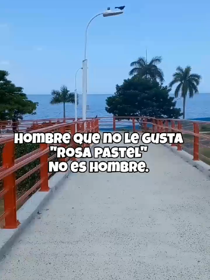 @𝚃𝚘𝚛 𝚂𝚊𝚛𝚎𝚣 ⚡ᴅɪʀᴇᴄᴛɪᴏɴᴇʀ