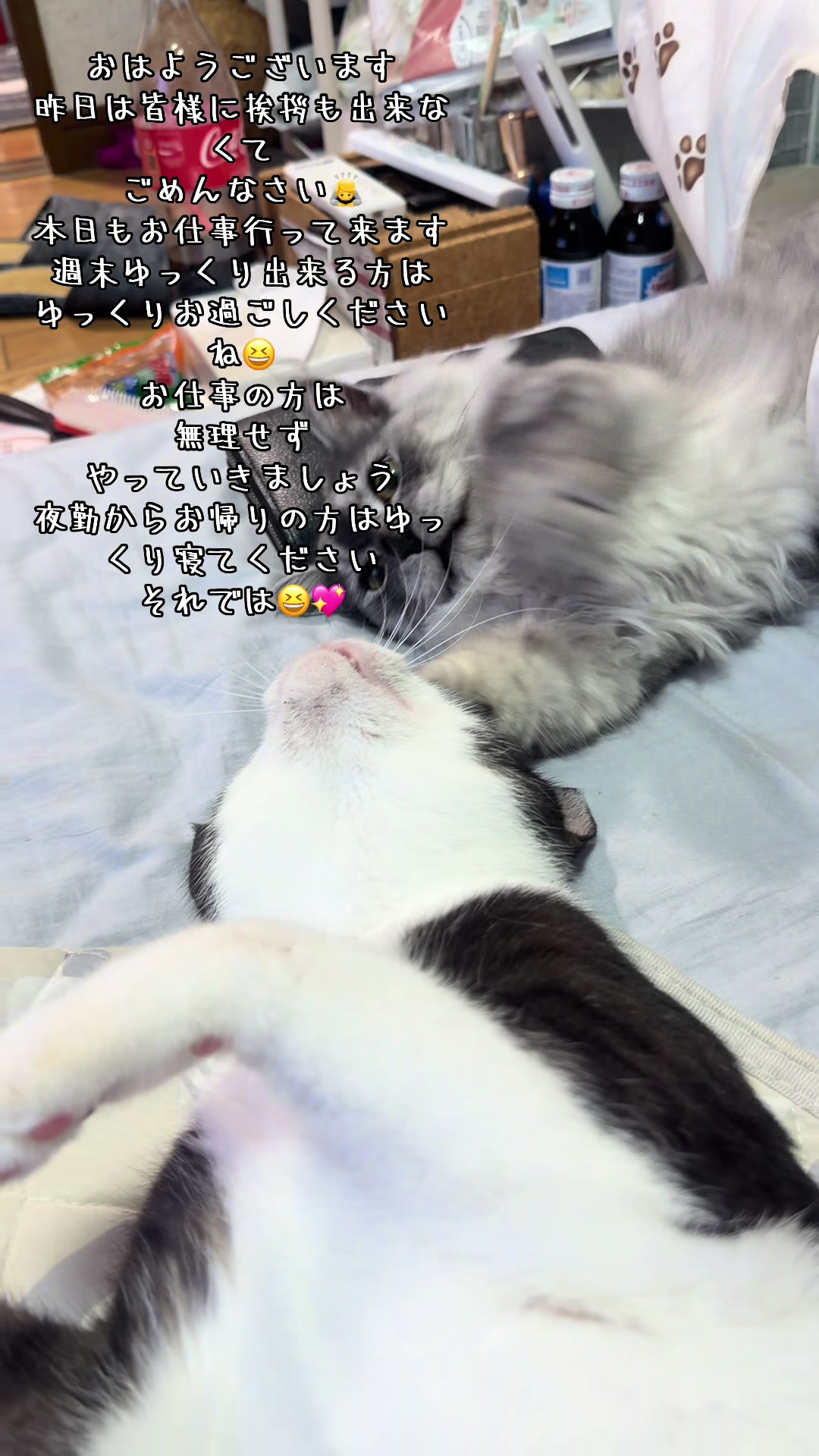 @🥀黒澤正志🥀