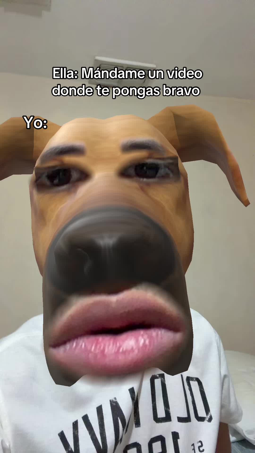 @Ernesto Belcerra