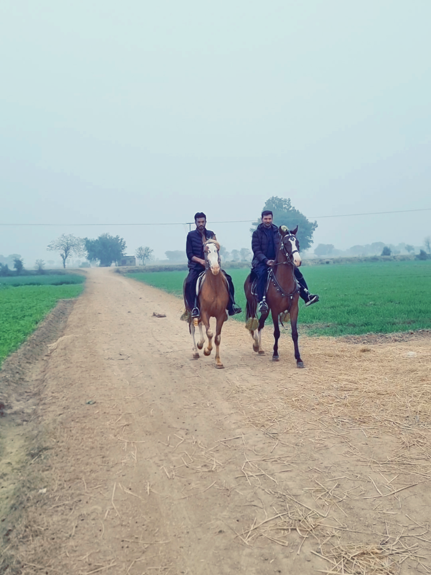 @Rashid Ali Gujjar