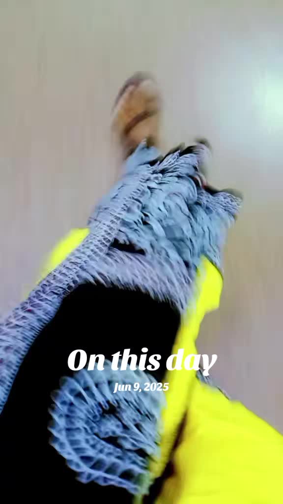 @💜💜💜💜💜💜