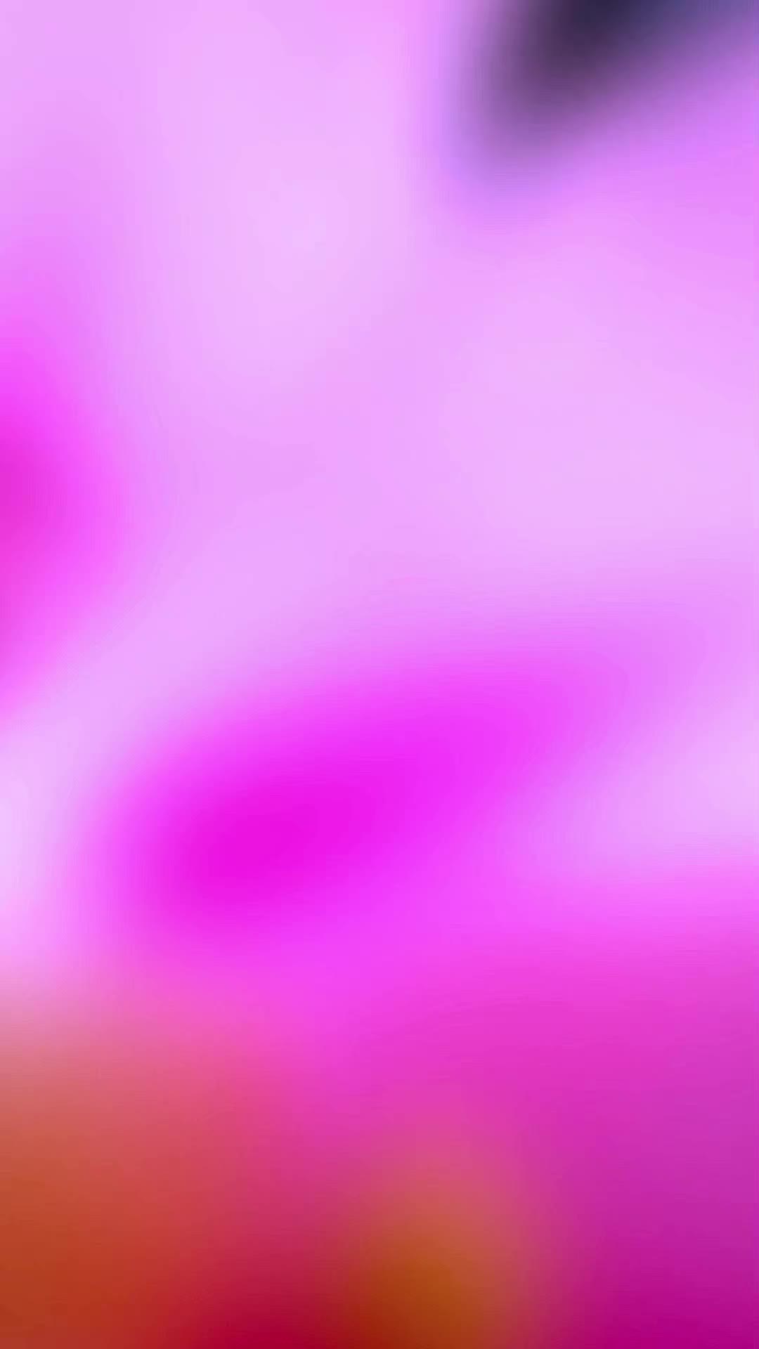 @user1675550211969