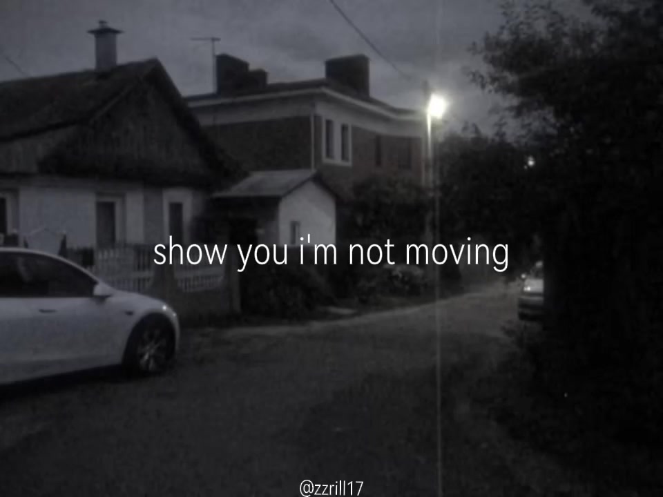 @zzrill17🐈&zwj;⬛