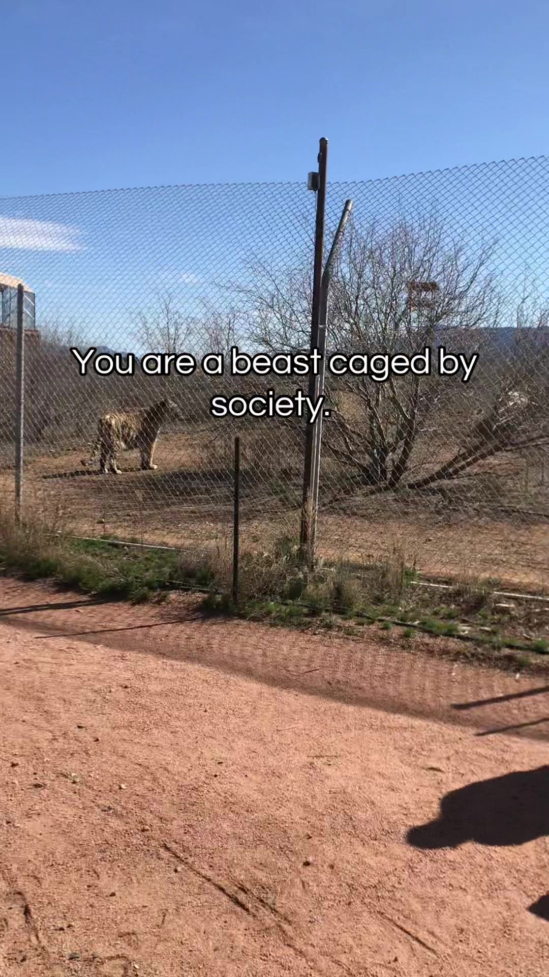 @Freedom