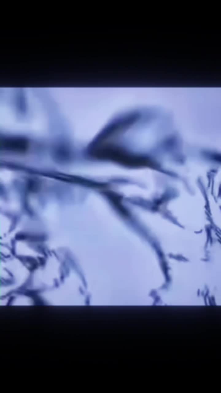 @ᴘʏʀᴏ | 𝐂𝐫𝐮𝐬𝐤