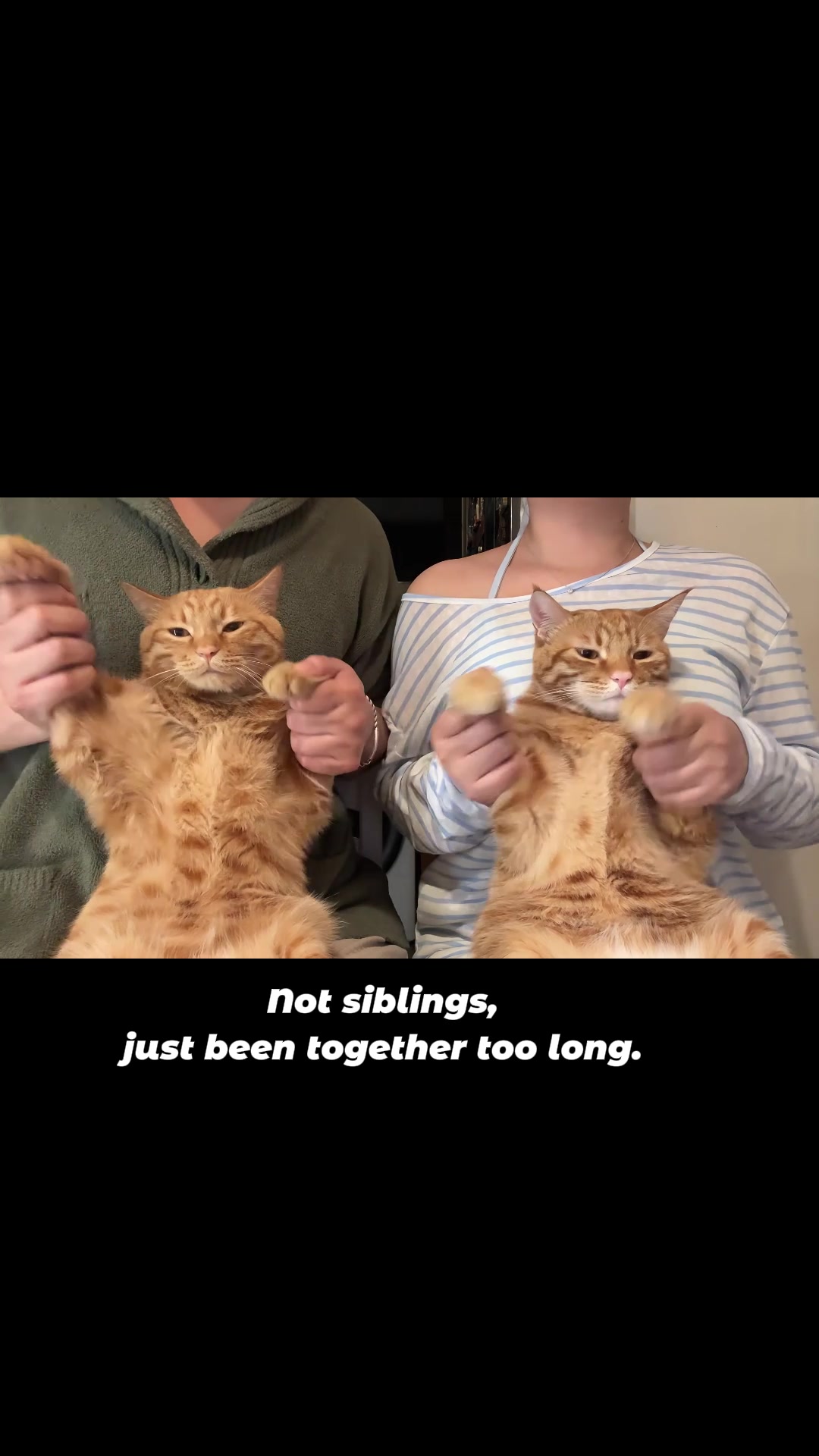 @MoewaiiCat