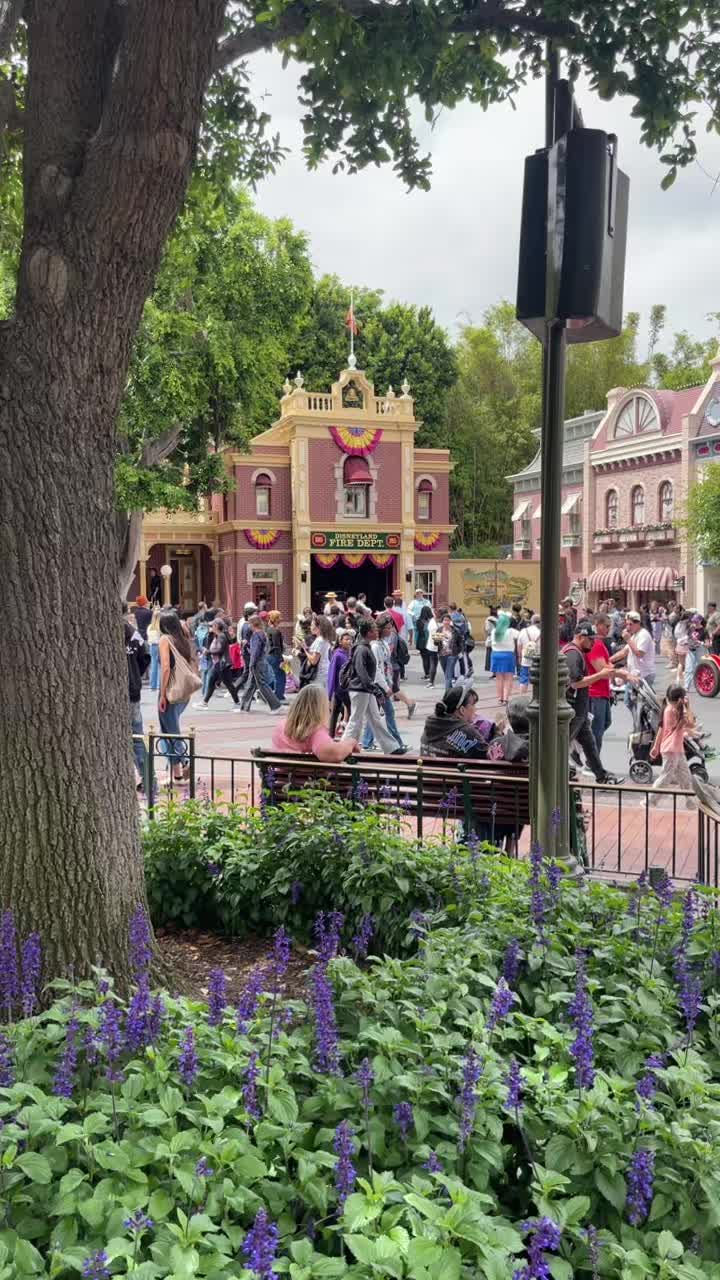 @❤️sugakelli@disney❤️
