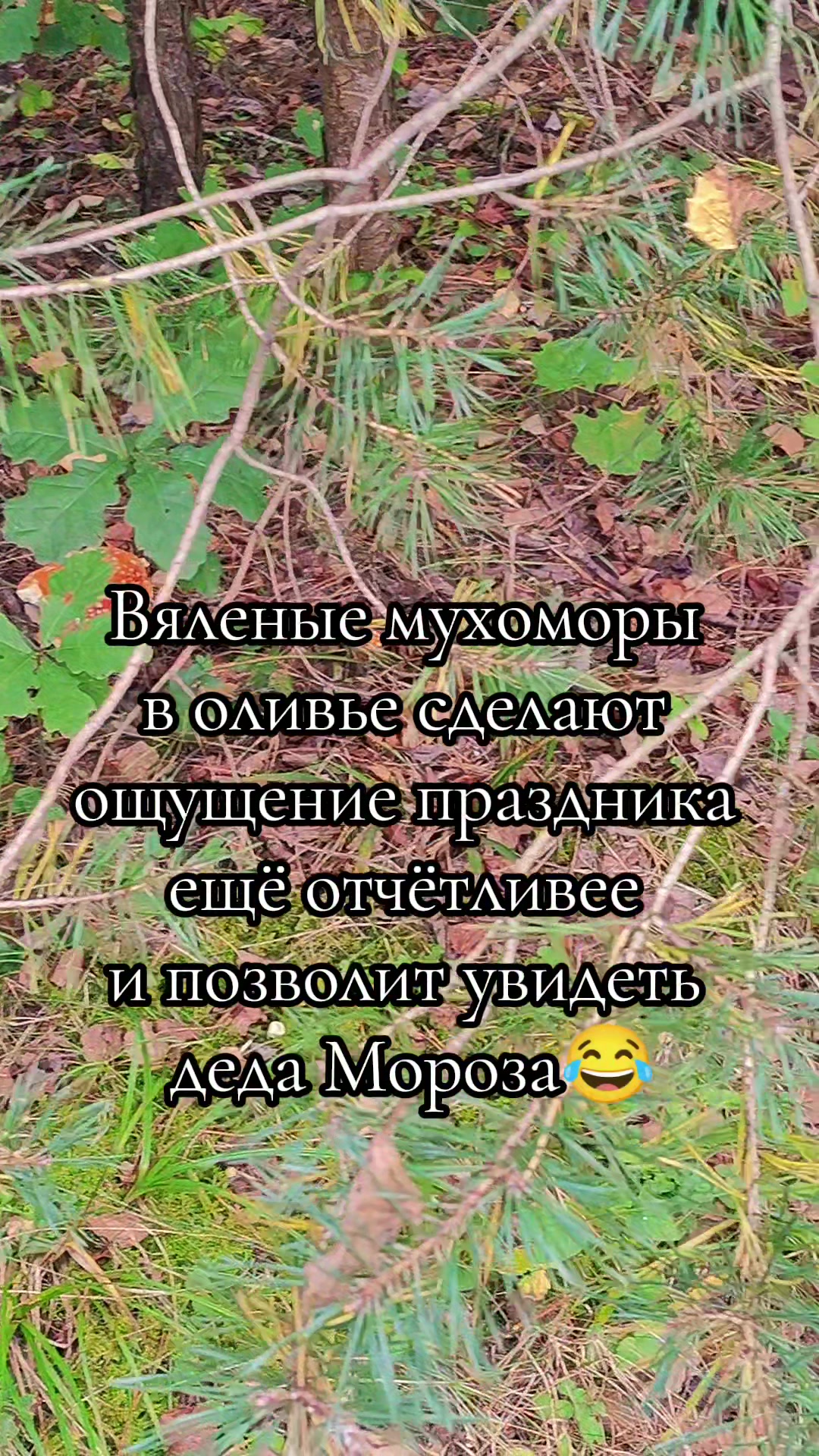@🌼Ромашки для Наташки🌼
