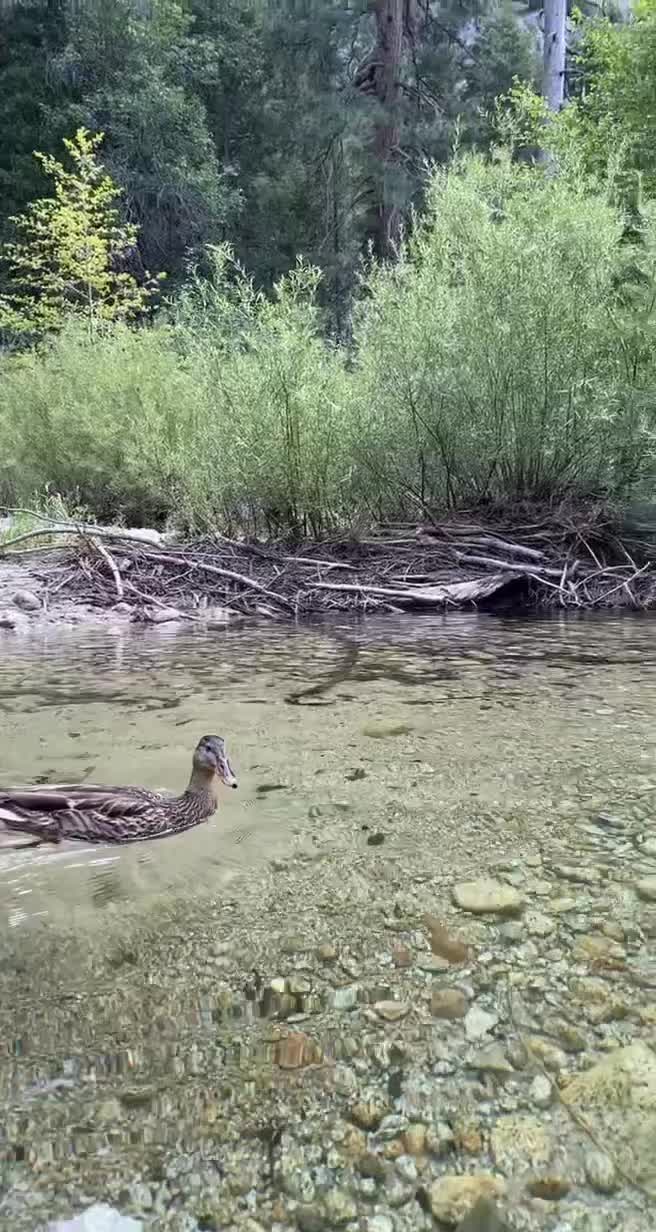 @Nature Lover ๐ฟโจ๐ฆ๐๐ป ๐โ๏ธ๐