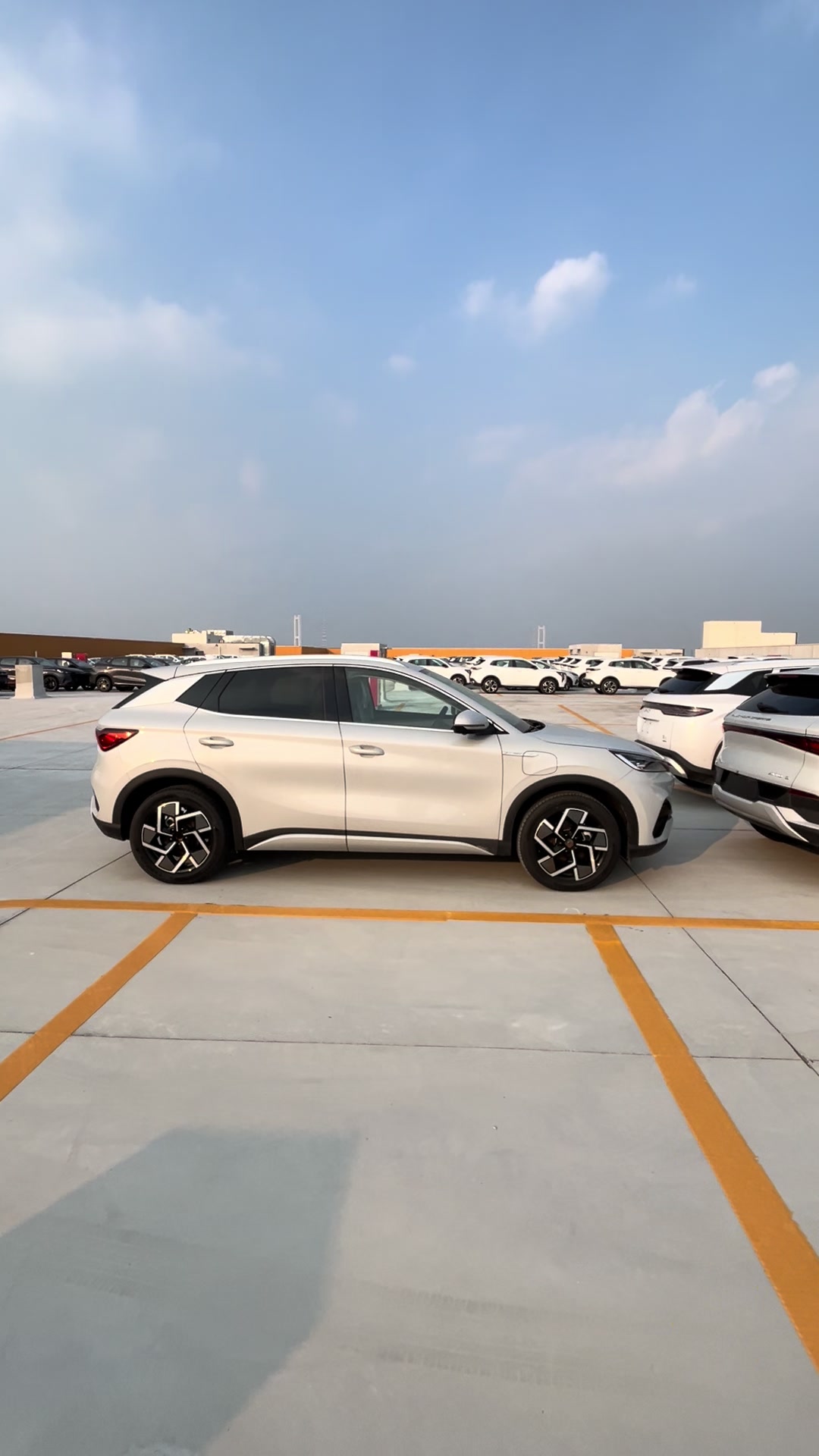 @China EV Export Cars Supplier