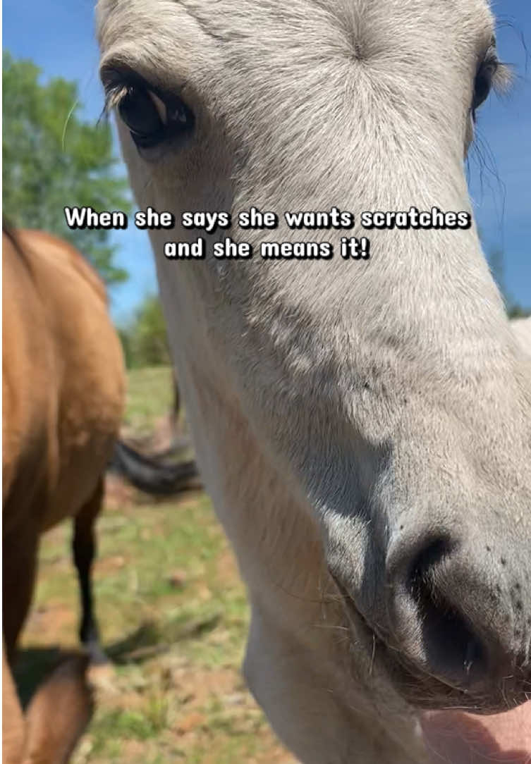 @SlowlaneFarm