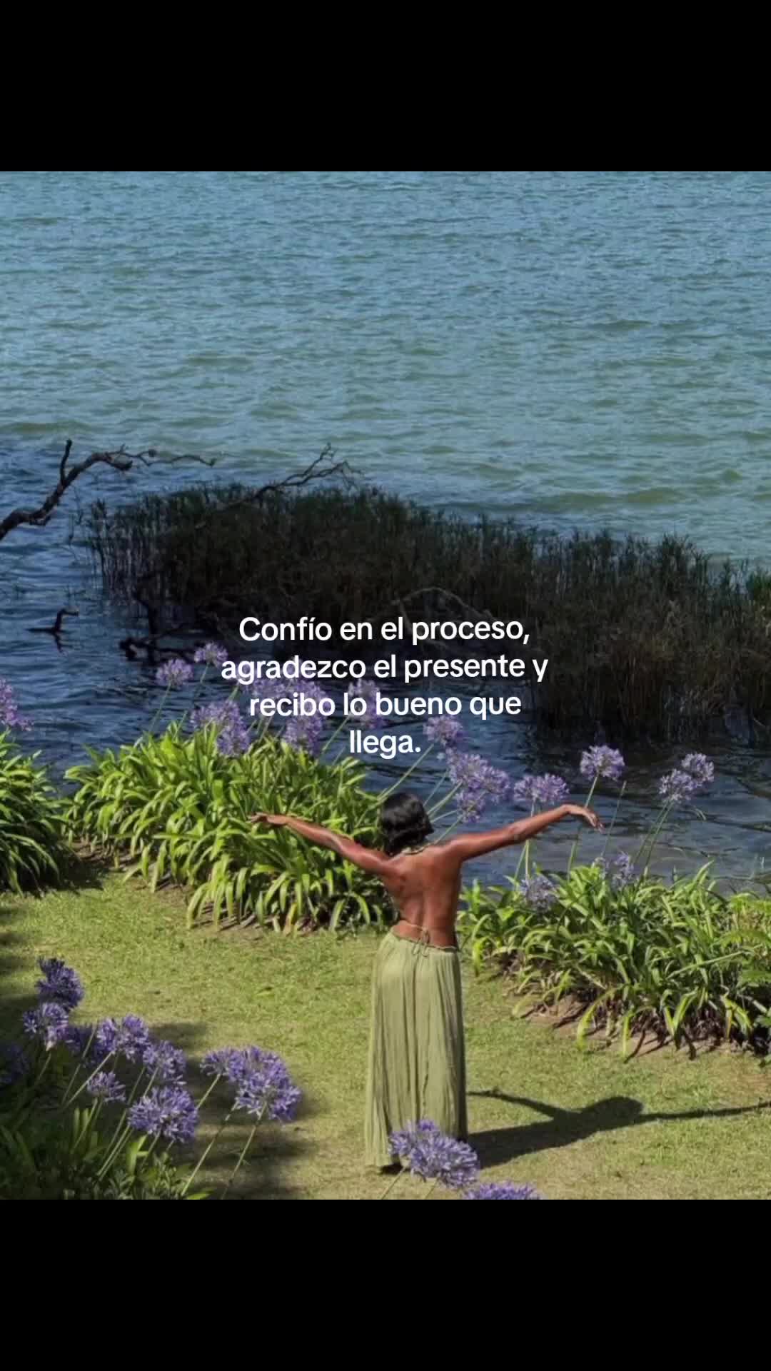 @°Lymar⁷°