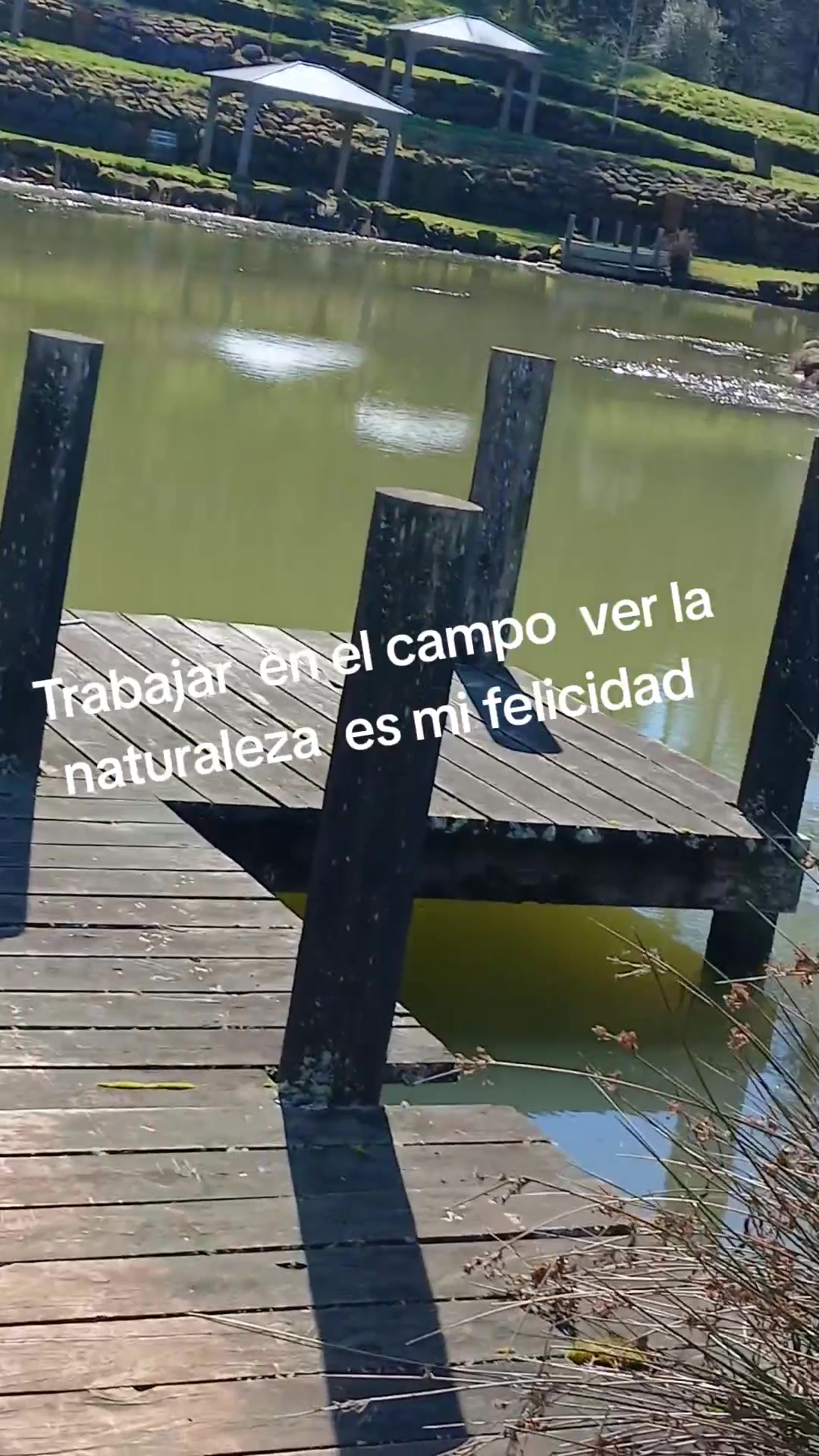 @Ana Jimenez
