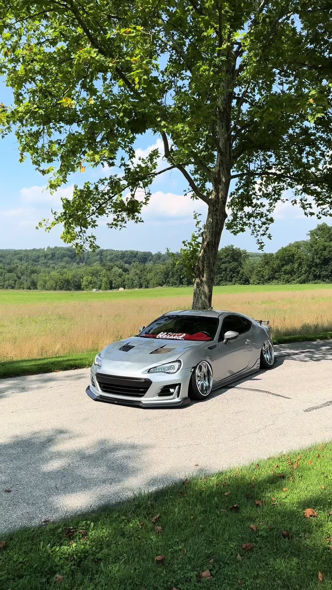 @Icy.Brz