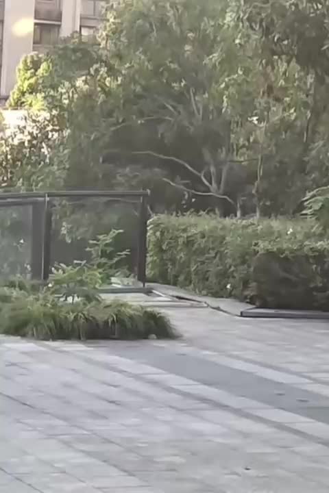 @Funny