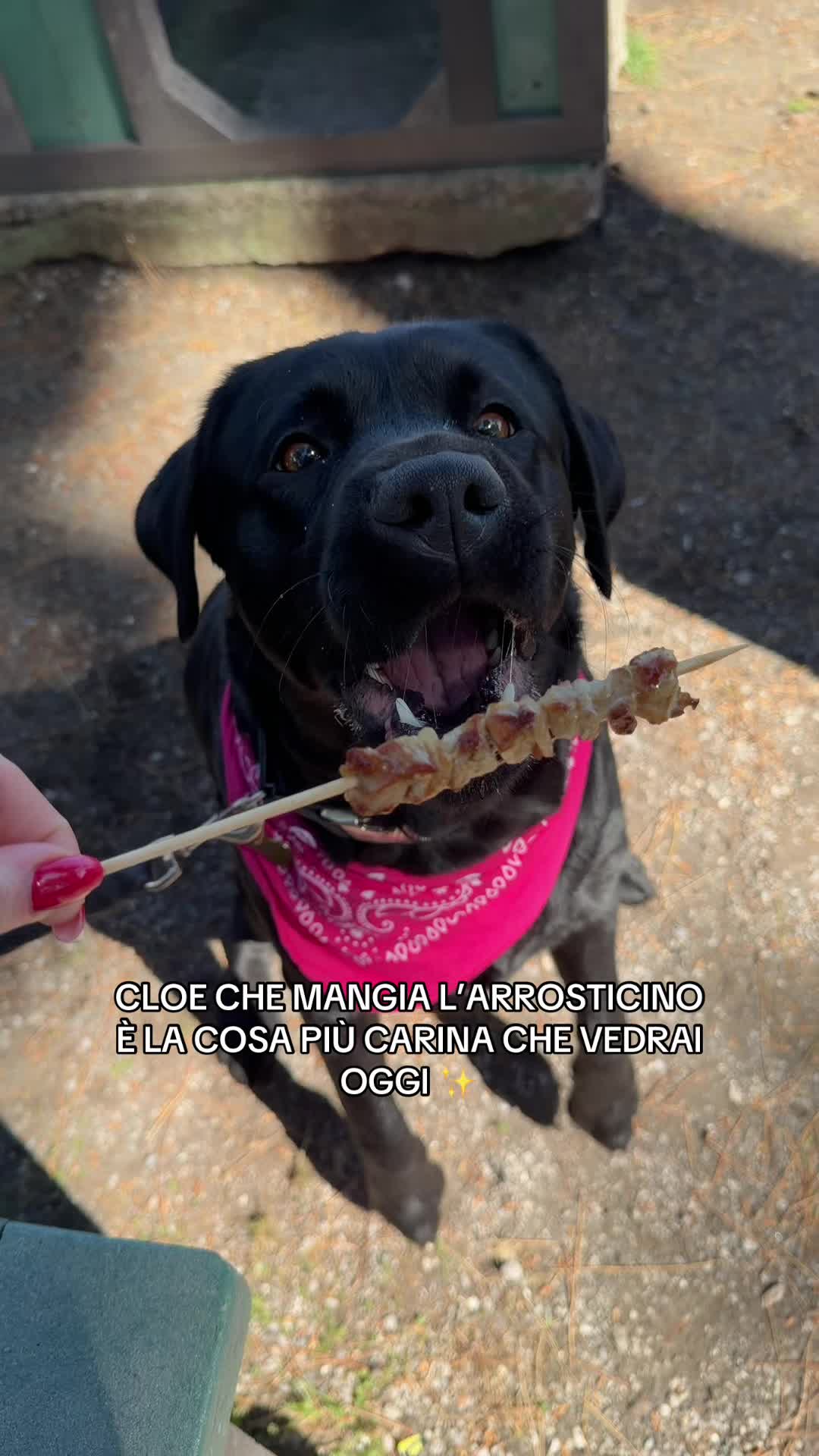 @Cloe e sabry🖤🐾