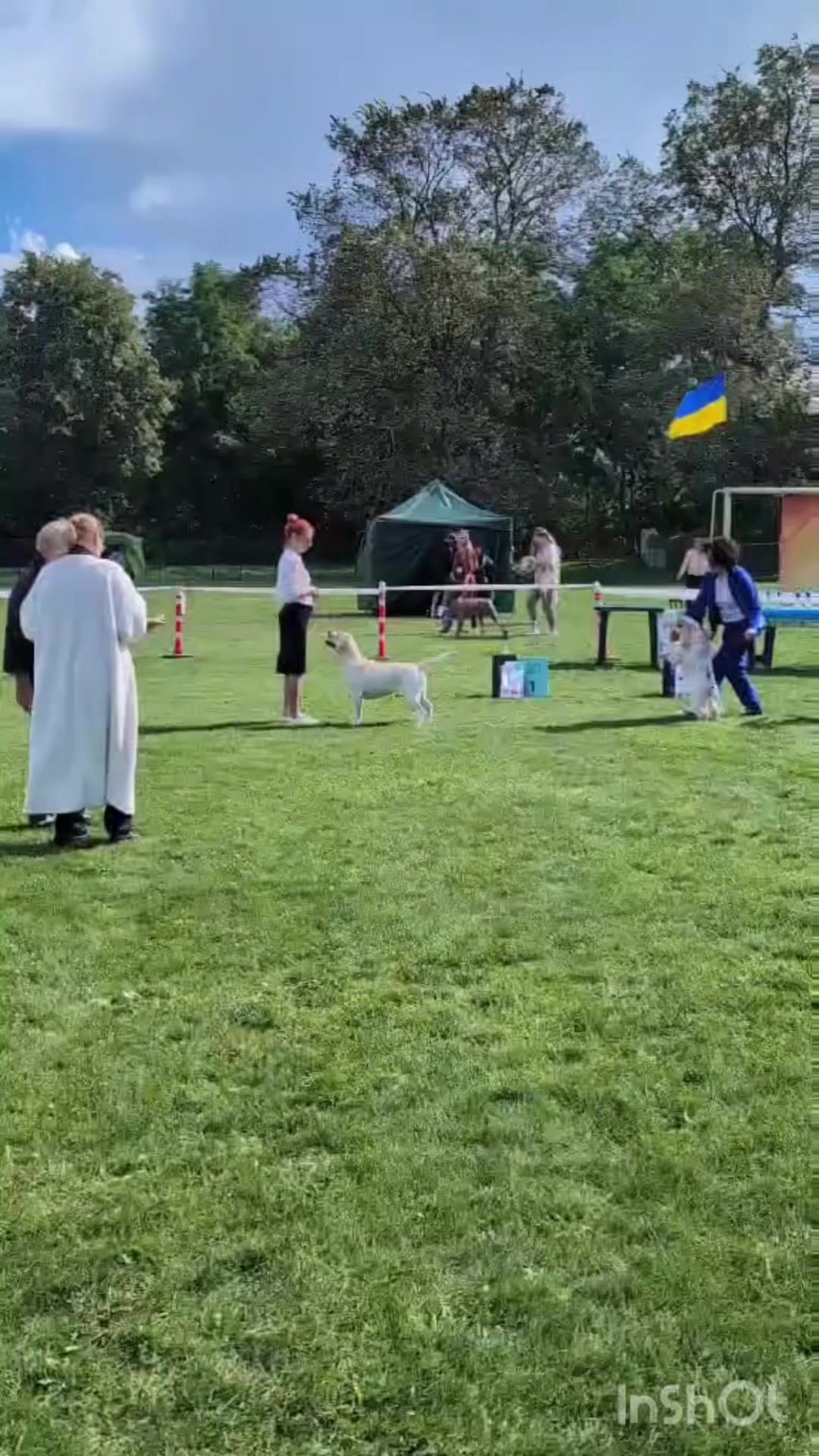 @Розплідник лабрадорів Україна