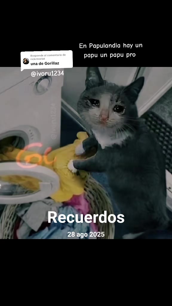 @Ivonne